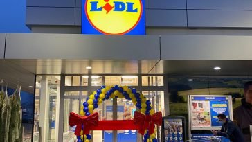Lidl Lokeren