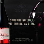 ACVCA