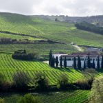 Quinta de Pancas