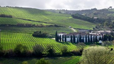 Quinta de Pancas