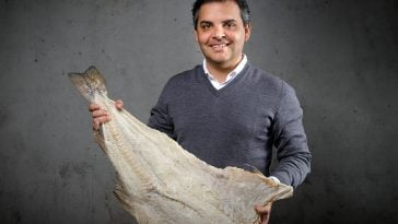 Ricardo Alves, administrador da Riberalves