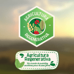 Blédina agricultura regenerativa