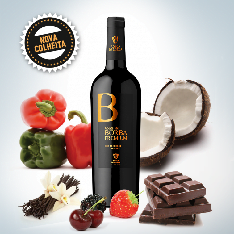 Adega de Borba
