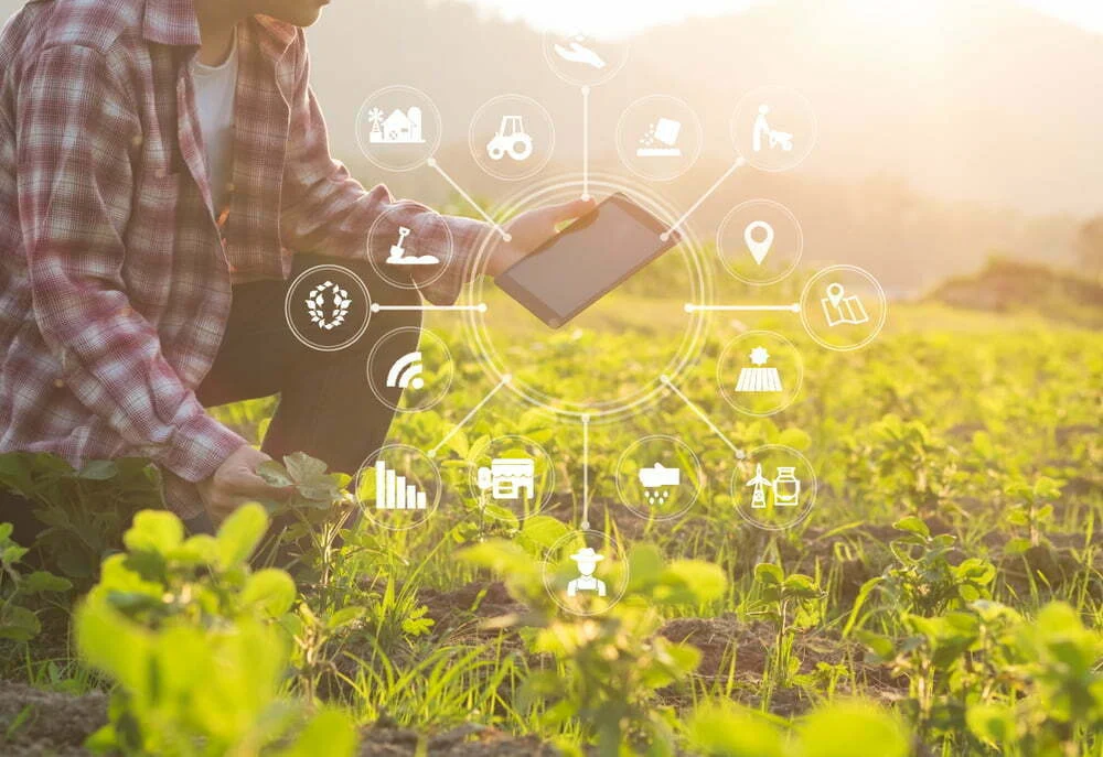 Sector agroalimentar aposta em tecnologias mais inovadoras para ultrapassar os seus principais desafios