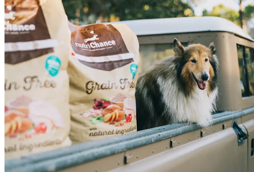 Nutri Chance ajuda a alimentar animais sem família