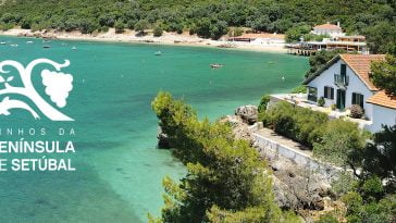 Vinhos da Península de Setúbal