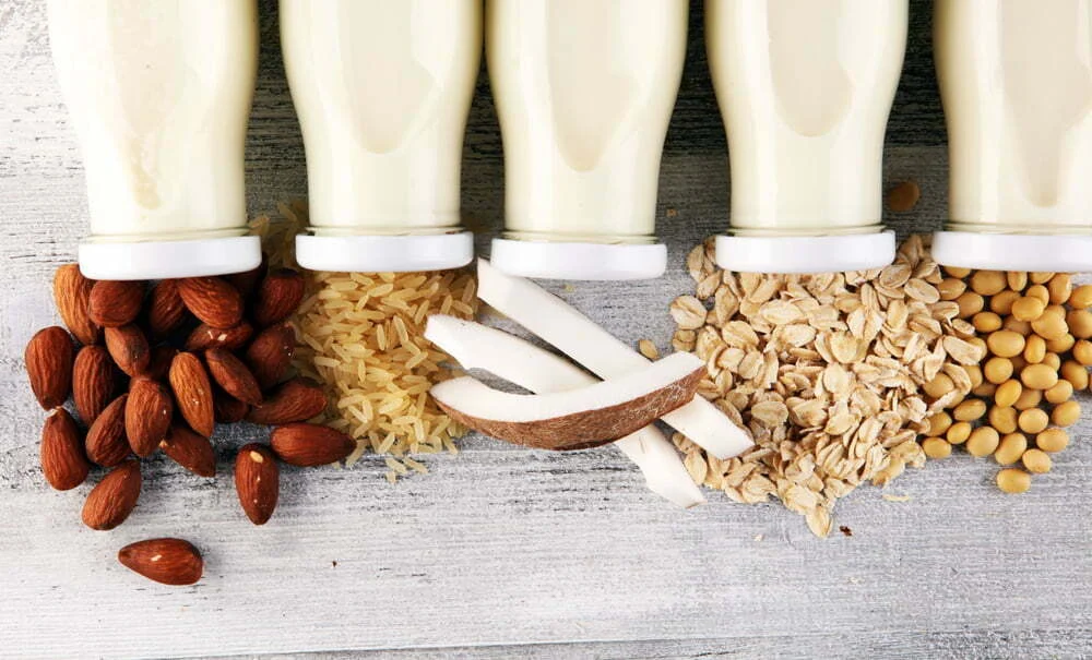 PAN quer que Governo inclua alimentos à base de proteína vegetal no cabaz de bens essenciais com IVA zero