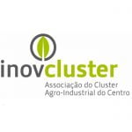 InovCluster