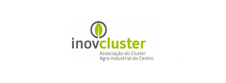 InovCluster
