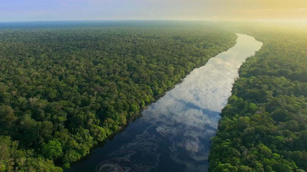 Maiores retalhistas mundiais ameaçam boicote ao Brasil