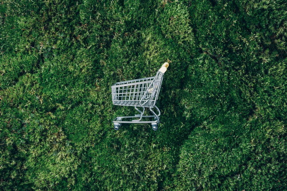 sustentabilidade consumo