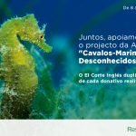 ECI Cavalos Marinhos