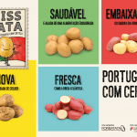 Campanha Miss Tata 2021