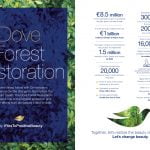 Dove Forest Restoration Project Infographic