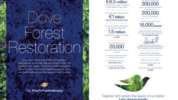 Dove Forest Restoration Project Infographic