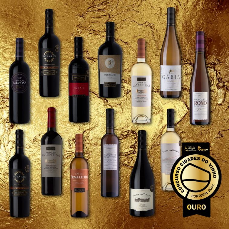 Casa Ermelinda Freitas