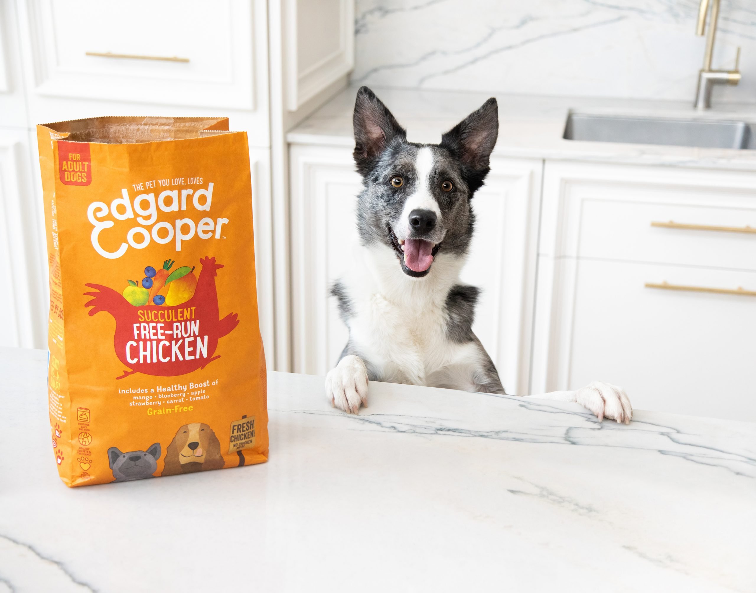 Edgard & Cooper apresenta novas embalagens produzidas inteiramente em papel