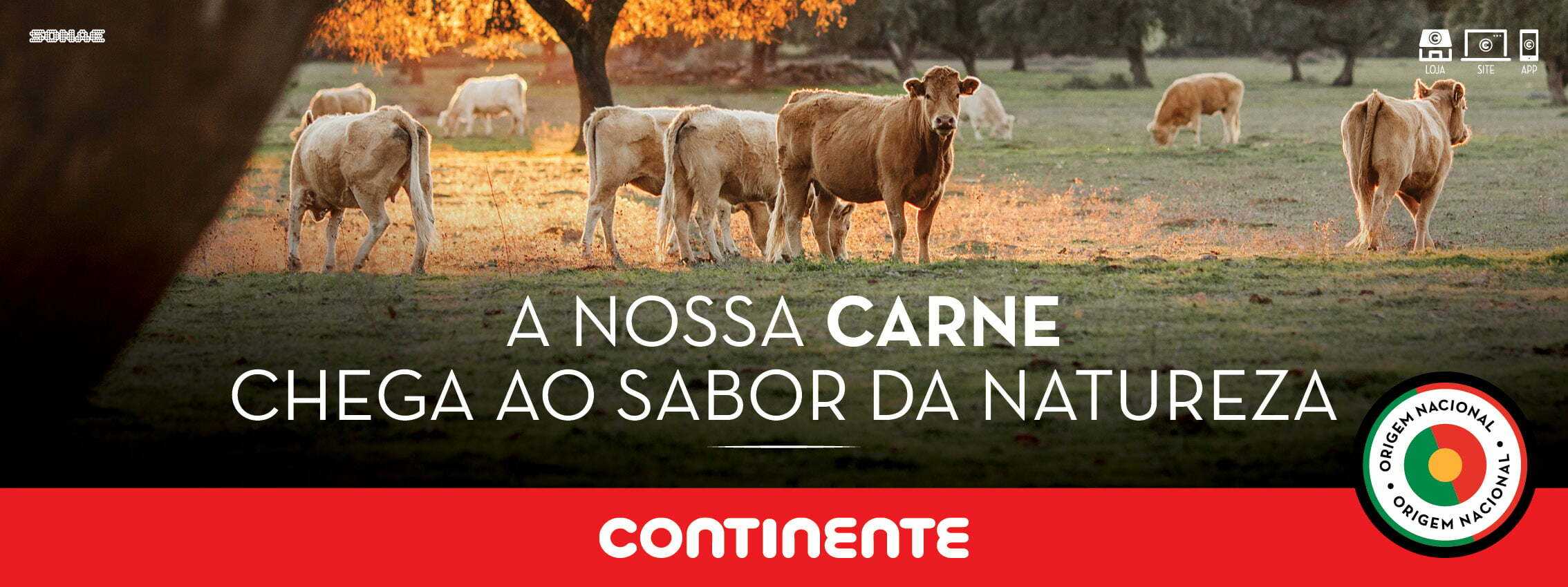 Carne Continente com certificação internacional em bem-estar animal