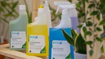 EcoX