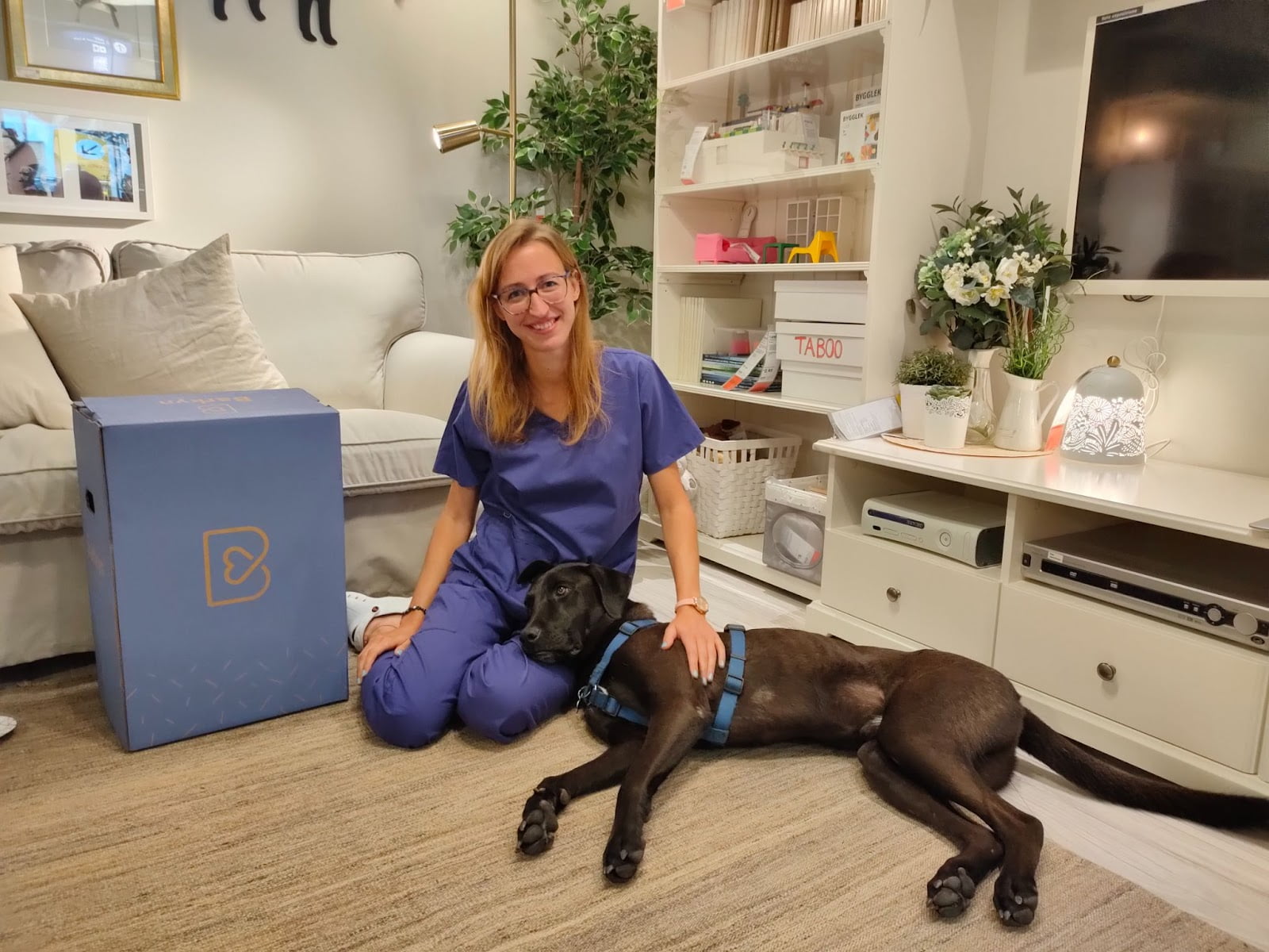 Ikea e Barkyn criam uma série digital sobre animais