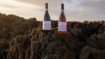 Vicentino_Gama Pinot Noir Naked