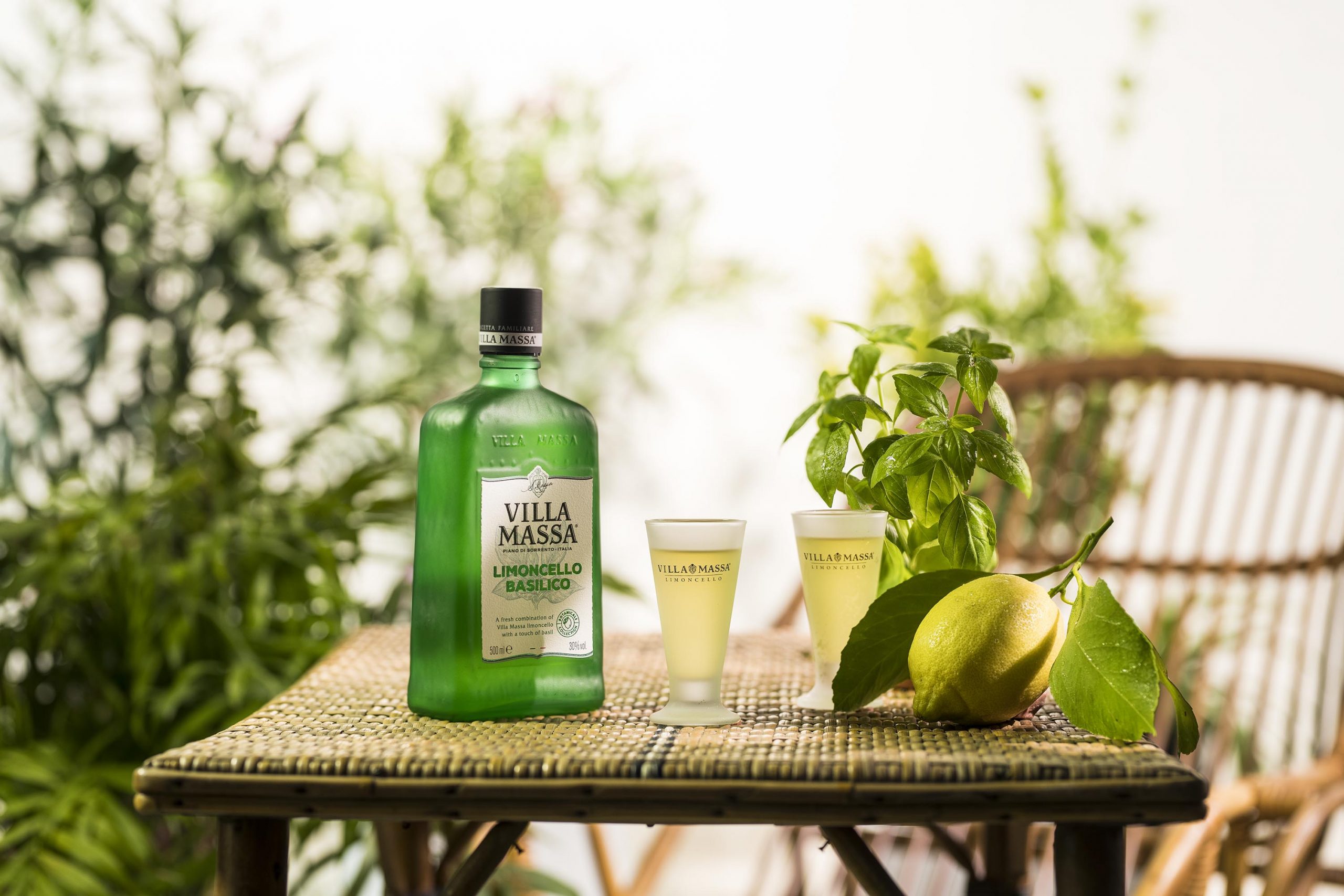 Villa Massa Limoncello lança versão Basílico para o verão