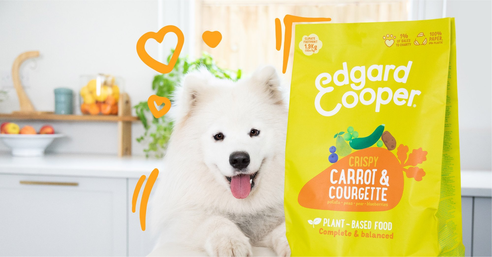 Edgar & Cooper lança alimentação 100% vegetal para cães