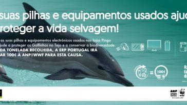 banner_ERP_PingoDoce_WFF