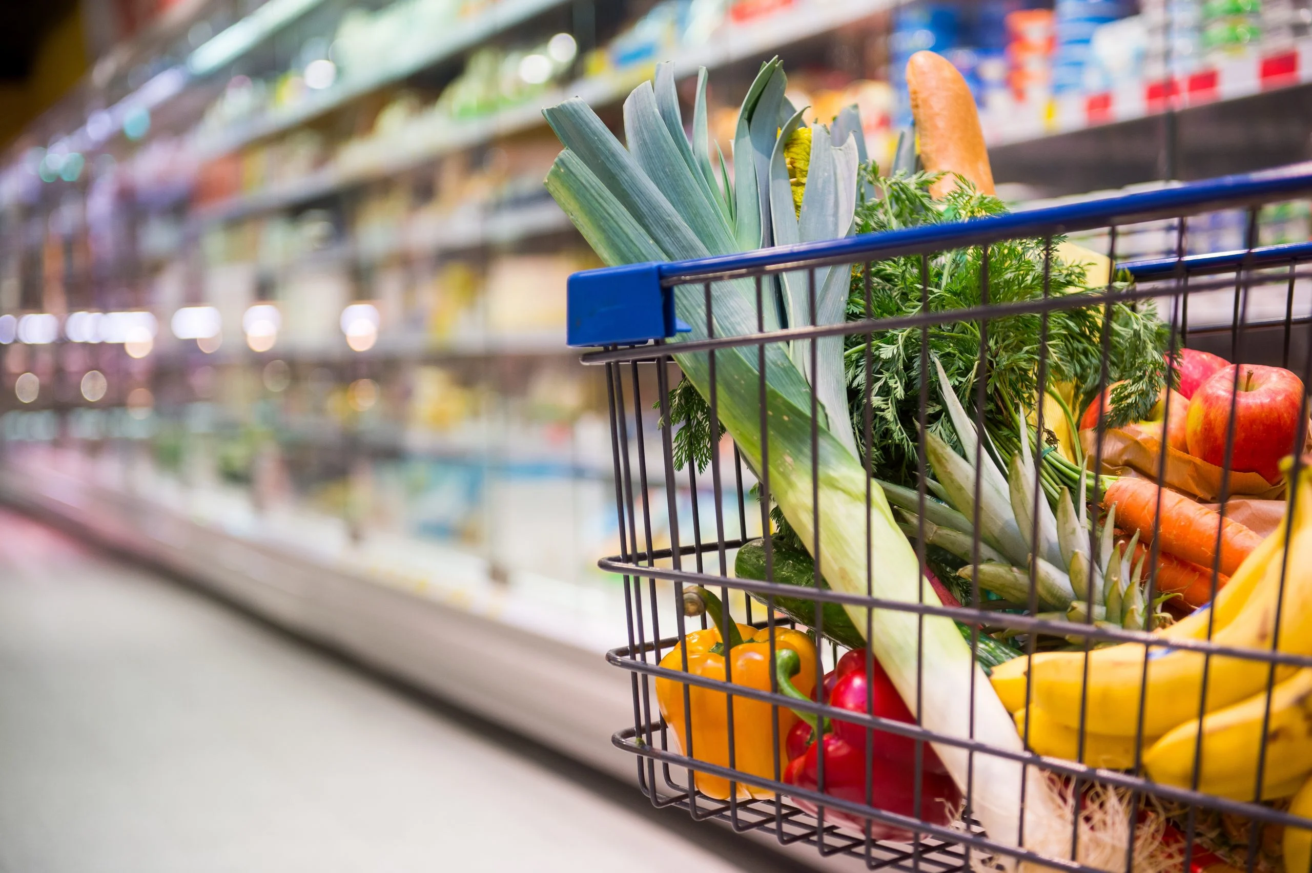 Saiba como o sistema digital de controlo de pragas irá proteger a indústria alimentar no futuro