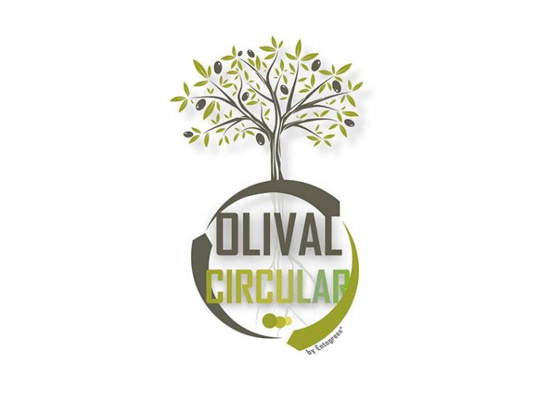 Olival Circular