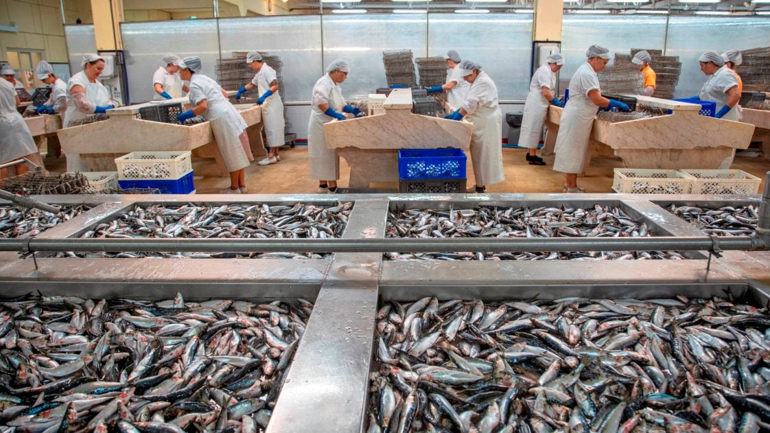 Pinhais lança edição de conservas comemorativa da abertura do museu