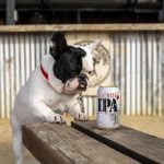 Lagunitas
