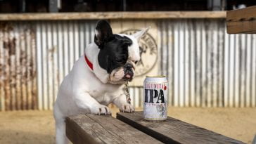 Lagunitas