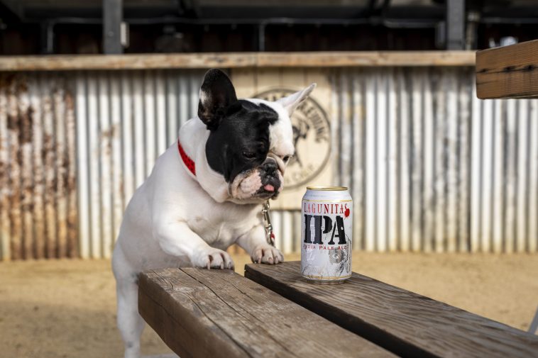 Lagunitas