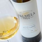 Sociedade Vinícola de Palmela