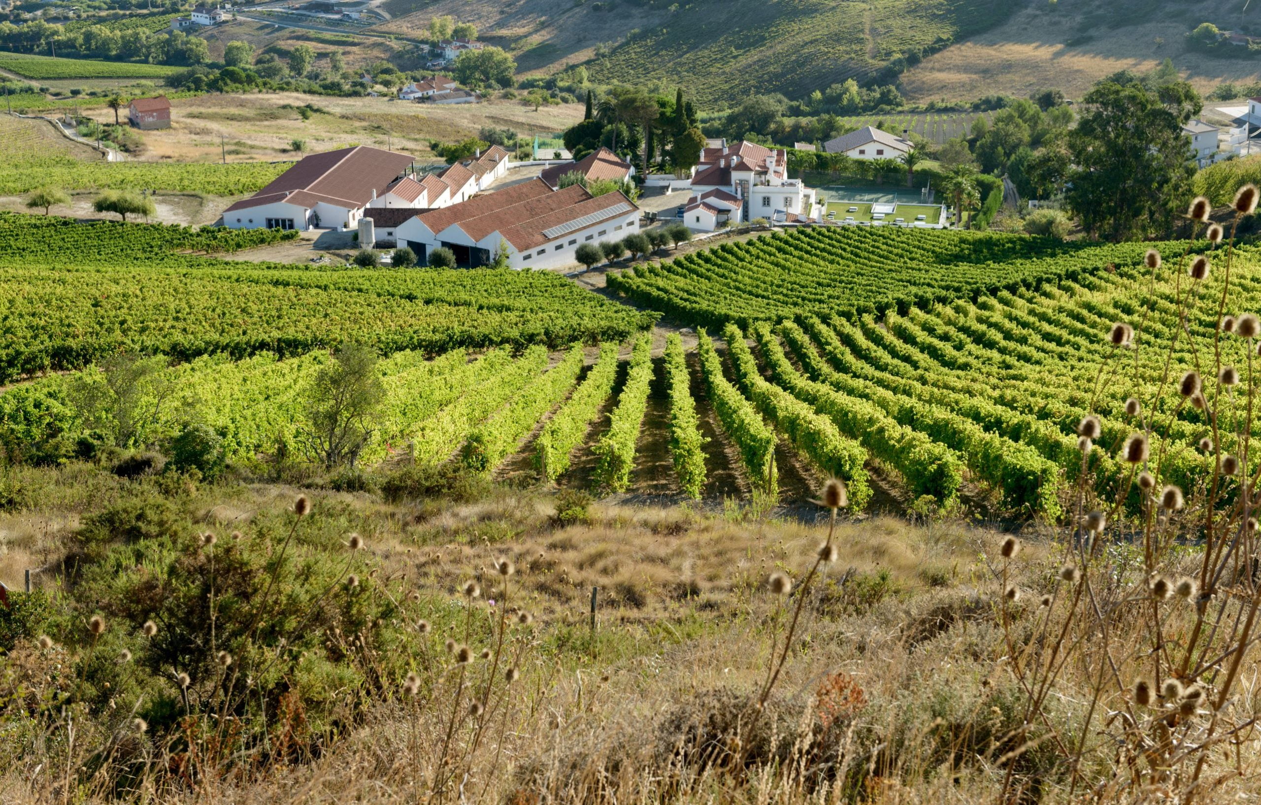 Quinta de S. Sebastião lança primeiro DOC Arruda