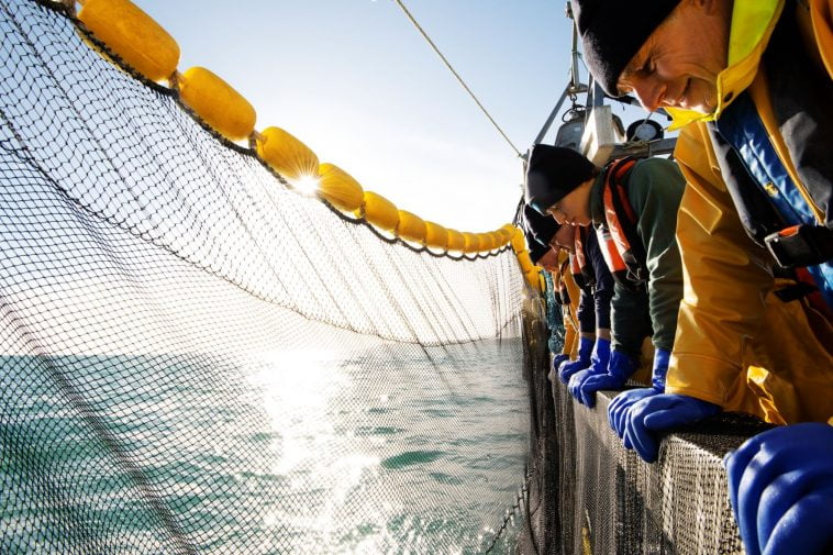 Sardinha Ibérica certificação