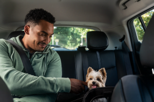 Uber Pet
