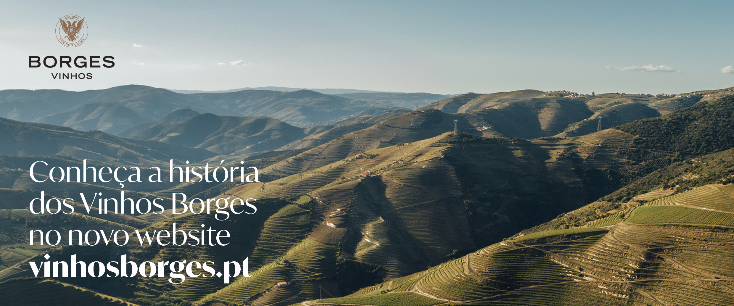 Vinhos Borges lançam novo website