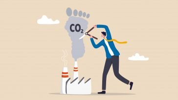 BCG cadeia de abastecimento emissões