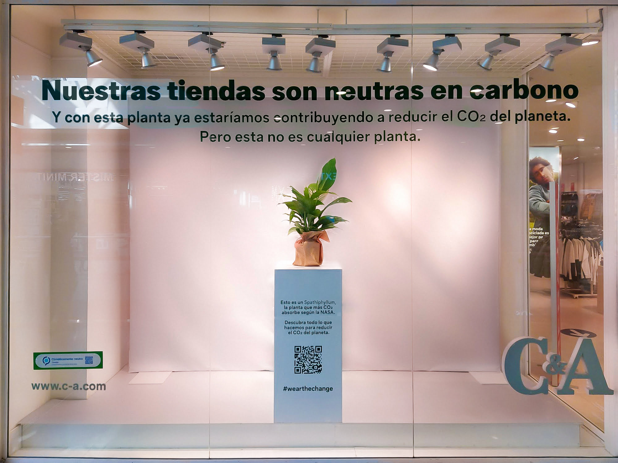 C&A “planta” as suas montras contra as alterações climáticas