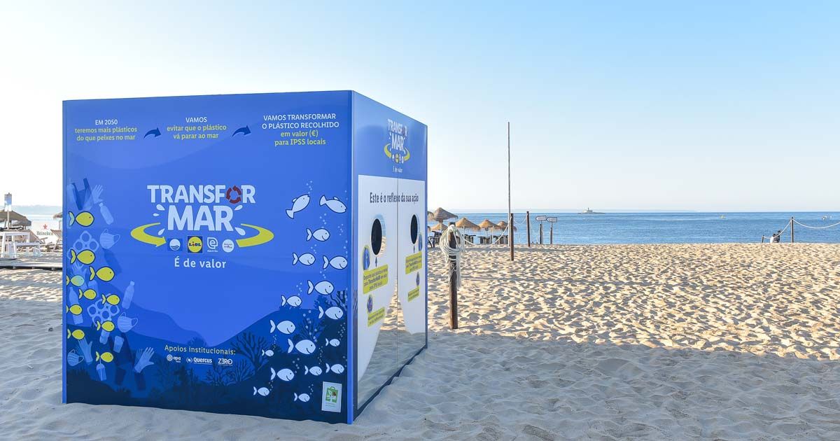 Projeto TransforMAR retira mais de 110 toneladas de plástico das praias portuguesas