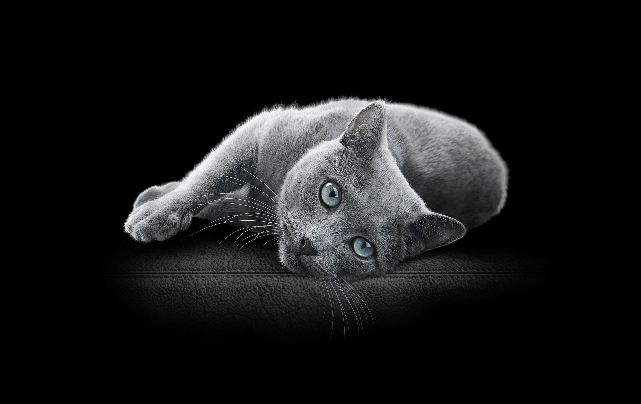 Mars Petcare Europe lança embalagens de alimentos para animais de estimação fabricadas com plástico reciclado