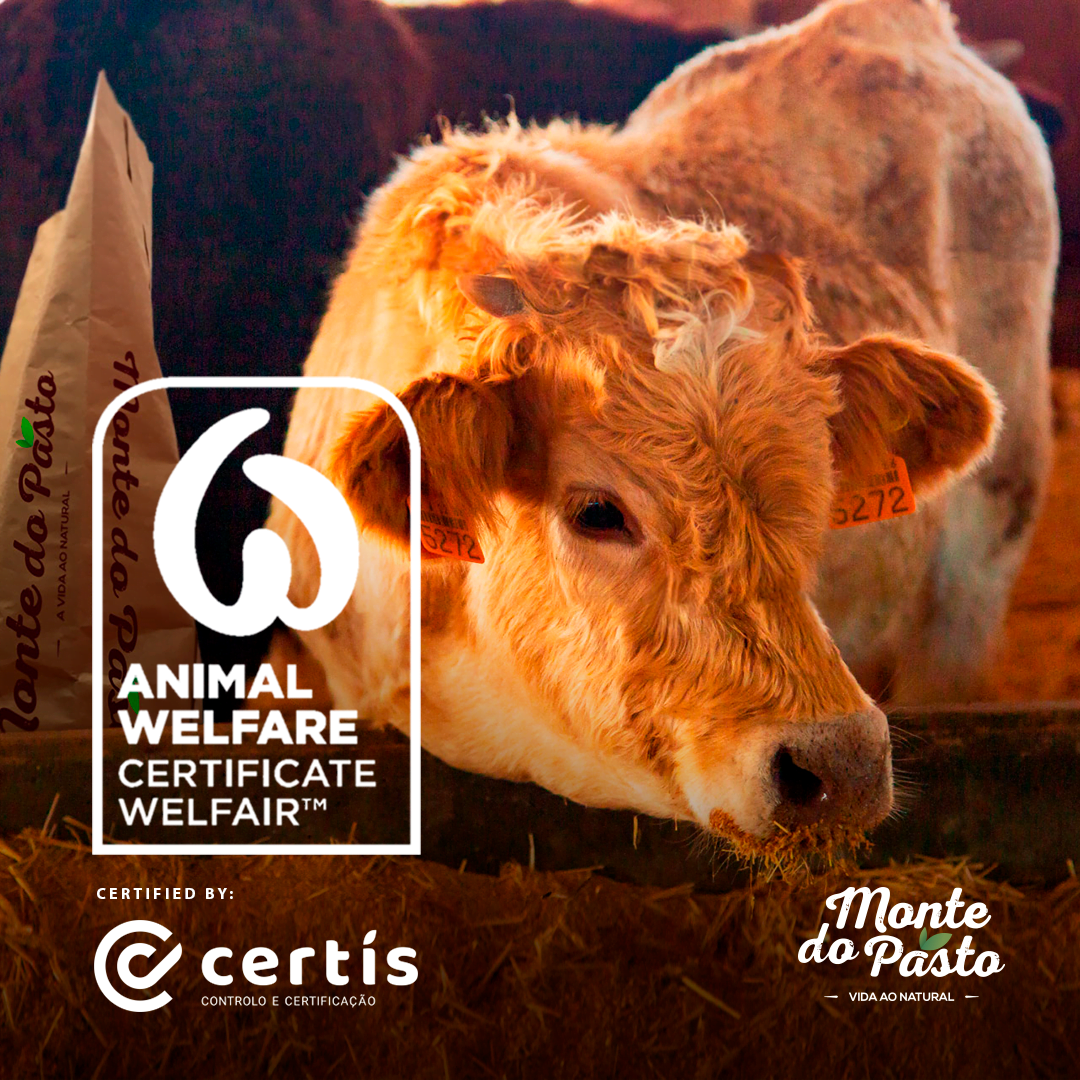 Monte do Pasto obtém certificação em bem-estar animal