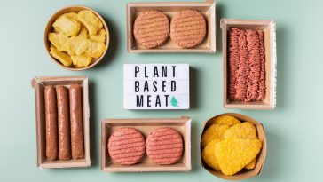 alternativas à carne