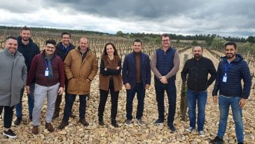 Falua Sommelier Edition 2022