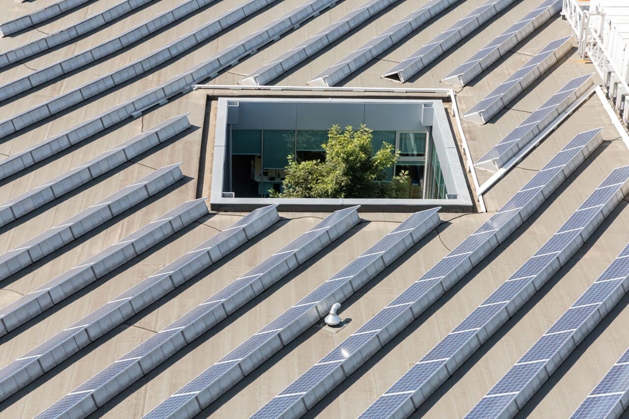Sonae já tem mais de 60% de financiamentos associados a objetivos de sustentabilidade