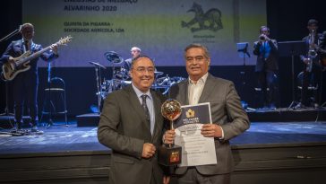 Grande Medalha de Ouro 2022