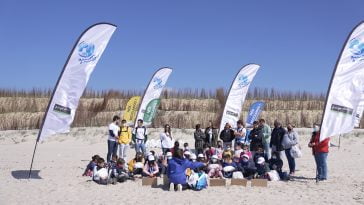 Pingo Doce e Novo Verde limpeza praias