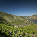 Quinta do Seixo